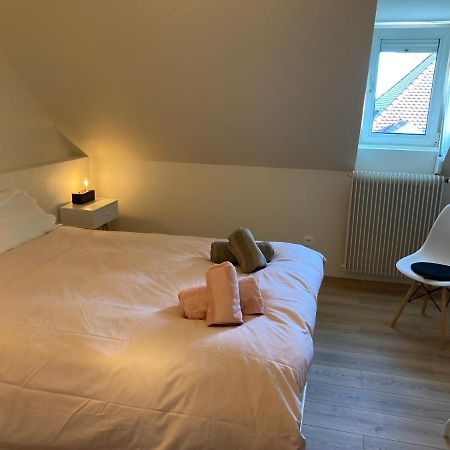 Les Moulins Tres Agreable Et Idealement Situe Apartment Colmar Exterior photo