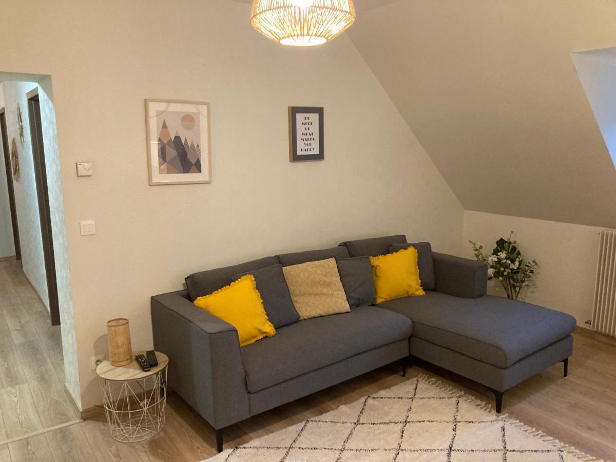Les Moulins Tres Agreable Et Idealement Situe Apartment Colmar Exterior photo